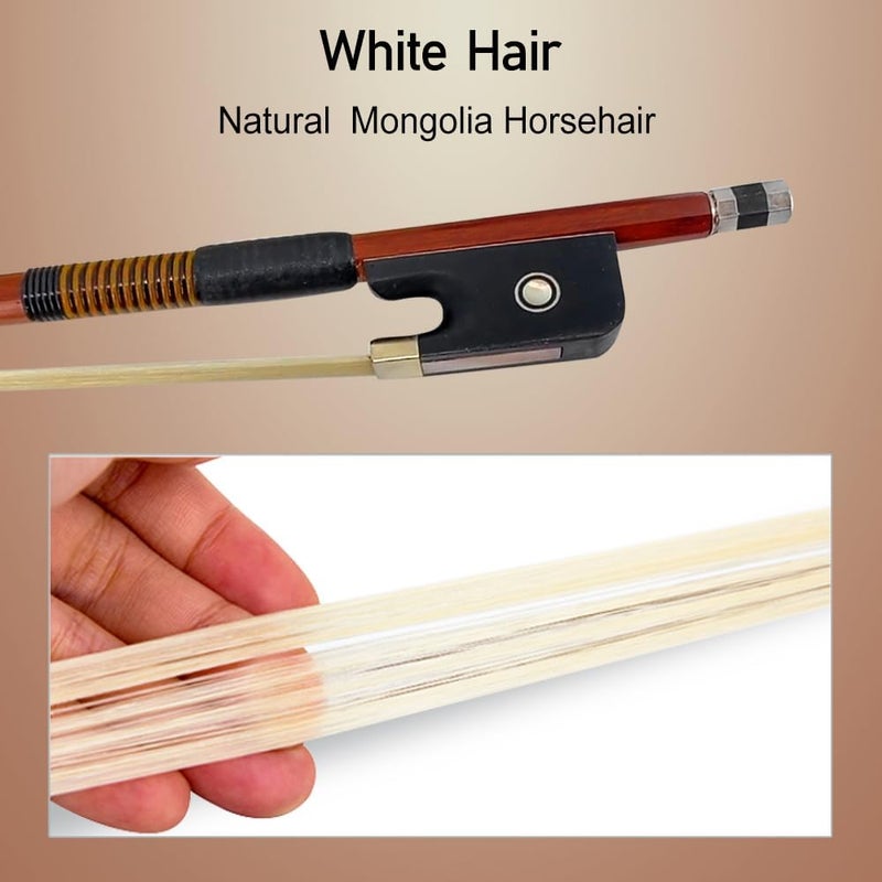 ModouString Cello Bow Full Size 4/4 - Brazilwood with Ebony Frog, Natural Mongolia Horsehair, wire decoration, Pearl Inlay Well Balanced Lightweight and Durable - Image 3